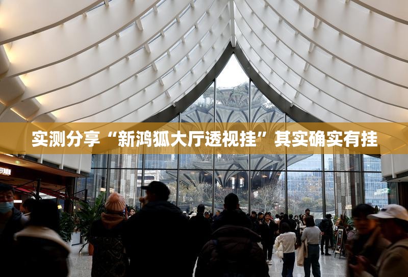 实测分享“新鸿狐大厅透视挂”其实确实有挂