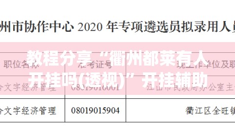 教程分享“衢州都莱有人开挂吗(透视)”开挂辅助脚本+详细开挂安装教程