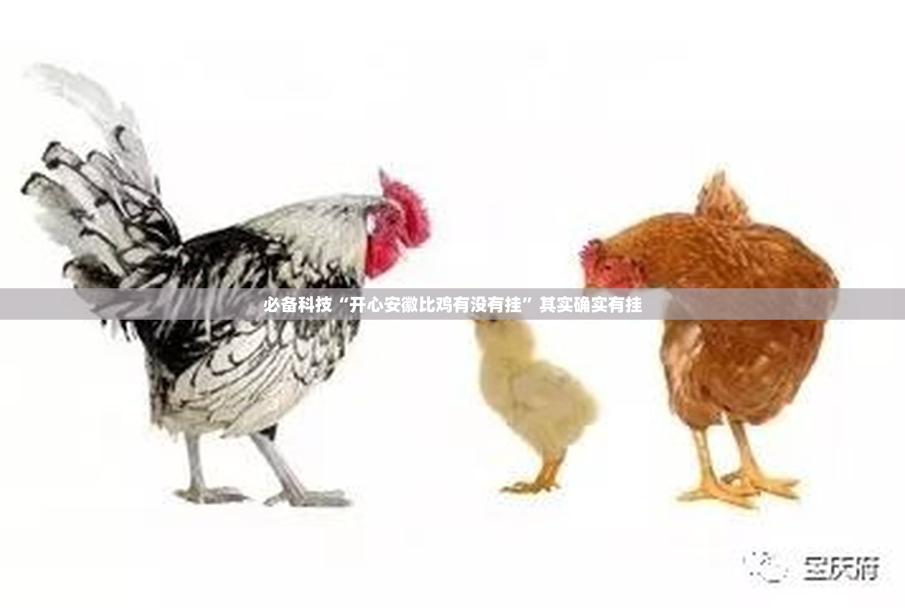 必备科技“开心安徽比鸡有没有挂”其实确实有挂