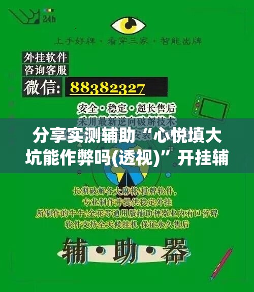 分享实测辅助“心悦填大坑能作弊吗(透视)	”开挂辅助脚本+详细开挂安装教程