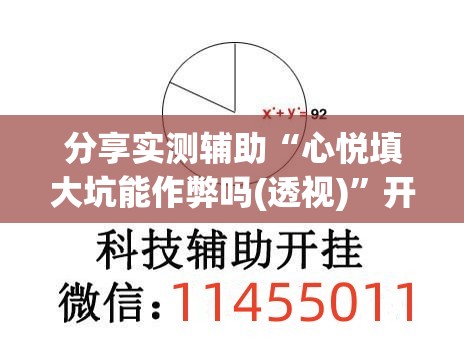 分享实测辅助“心悦填大坑能作弊吗(透视)”开挂辅助脚本+详细开挂安装教程