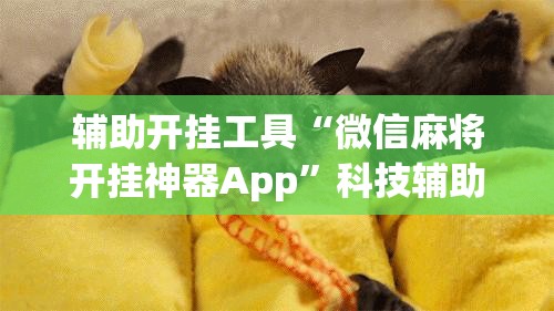 辅助开挂工具“微信麻将开挂神器App”科技辅助神器手机版