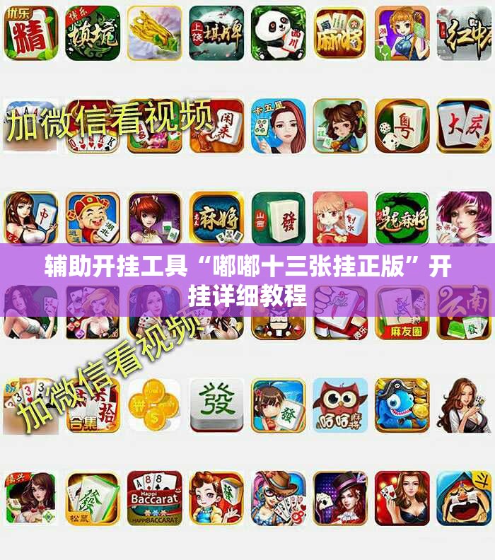 辅助开挂工具“嘟嘟十三张挂正版”开挂详细教程