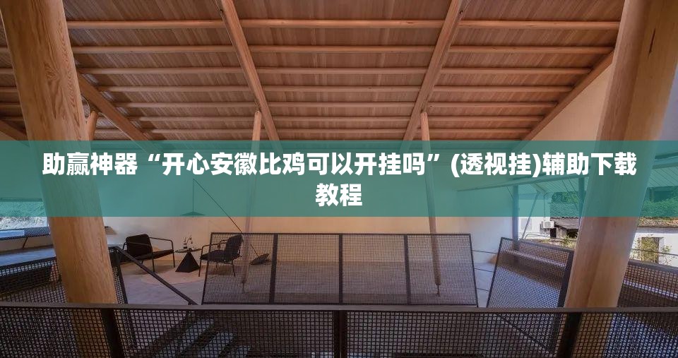 助赢神器“开心安徽比鸡可以开挂吗”(透视挂)辅助下载教程