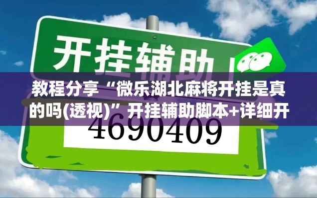教程分享“微乐湖北麻将开挂是真的吗(透视)	”开挂辅助脚本+详细开挂安装教程