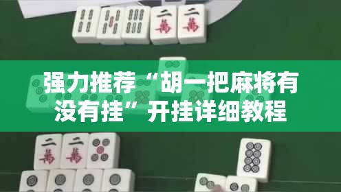 强力推荐“胡一把麻将有没有挂”开挂详细教程