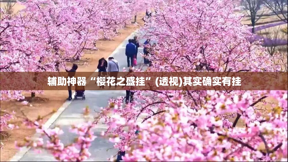 辅助神器“樱花之盛挂	”(透视)其实确实有挂