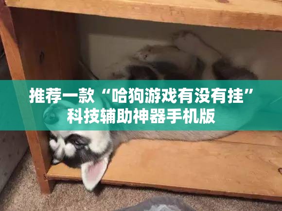 推荐一款“哈狗游戏有没有挂”科技辅助神器手机版