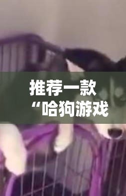 推荐一款“哈狗游戏有没有挂”科技辅助神器手机版