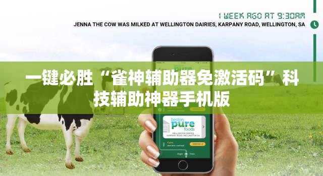 一键必胜“雀神辅助器免激活码”科技辅助神器手机版