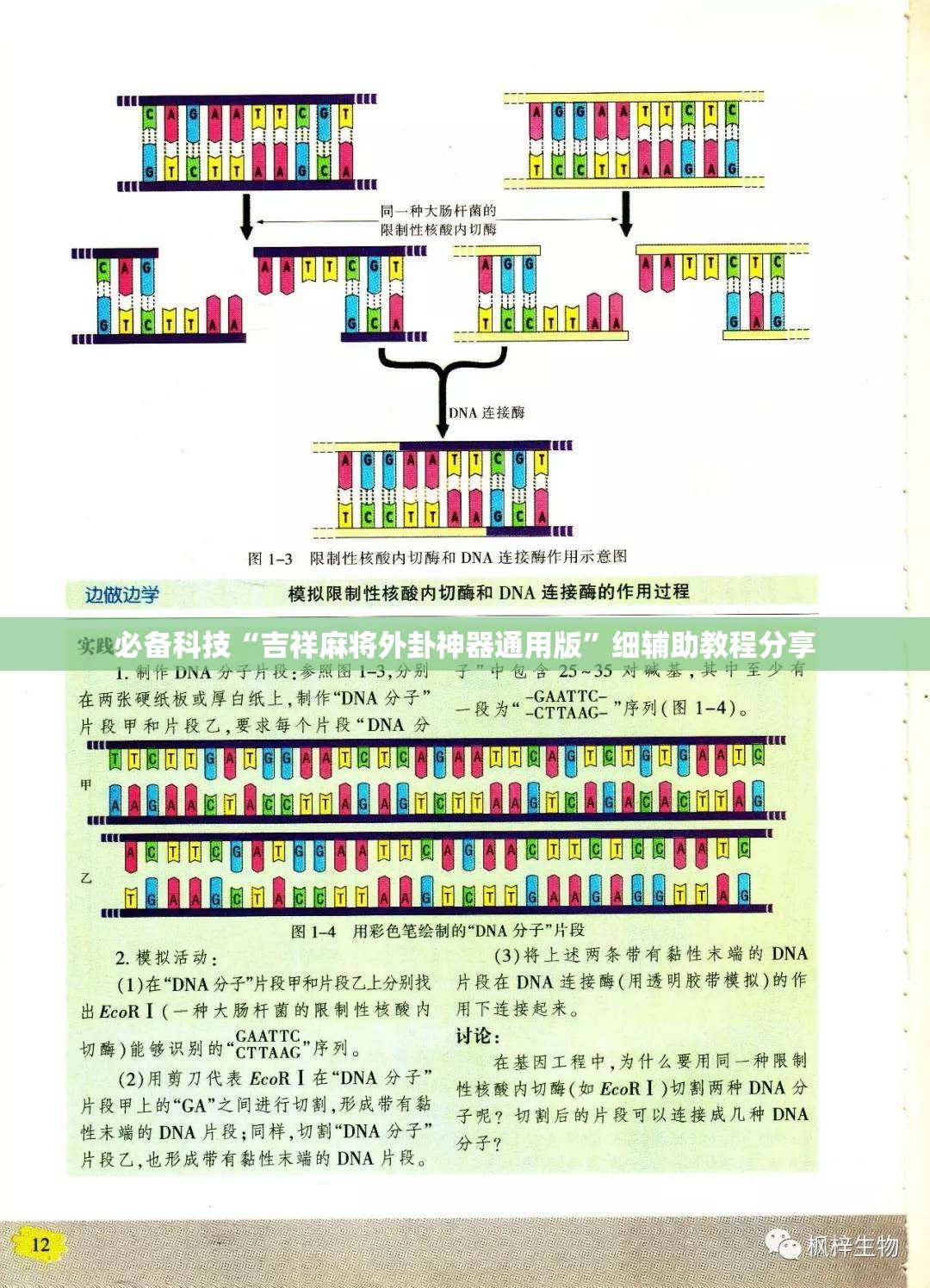 必备科技“吉祥麻将外卦神器通用版”细辅助教程分享