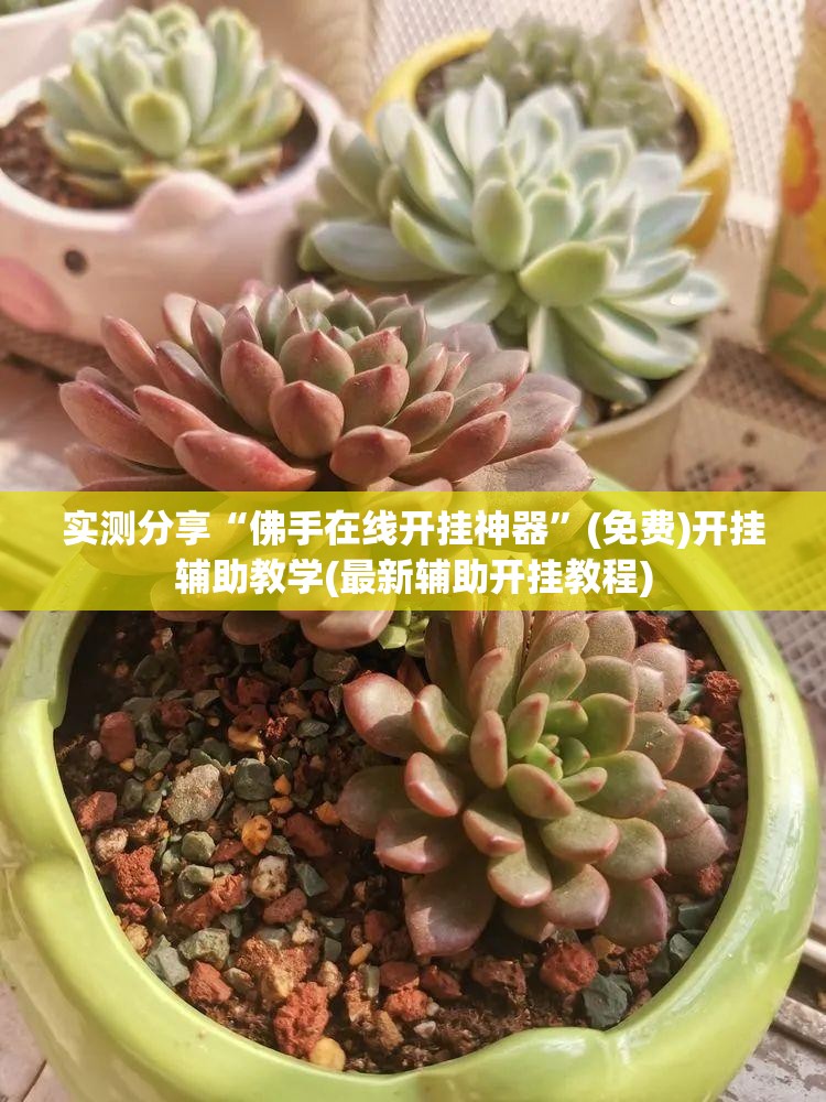 实测分享“佛手在线开挂神器	”(免费)开挂辅助教学(最新辅助开挂教程)