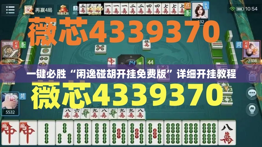 一键必胜“闲逸碰胡开挂免费版”详细开挂教程