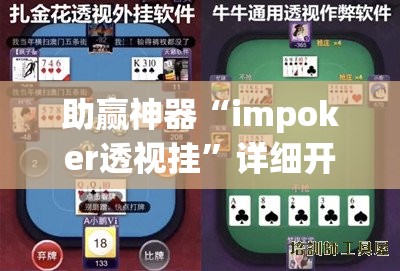 助赢神器“impoker透视挂”详细开挂教程