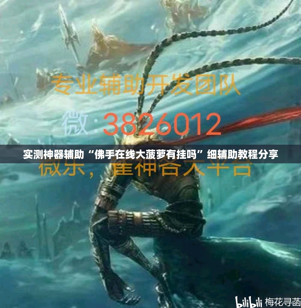实测神器辅助“佛手在线大菠萝有挂吗”细辅助教程分享