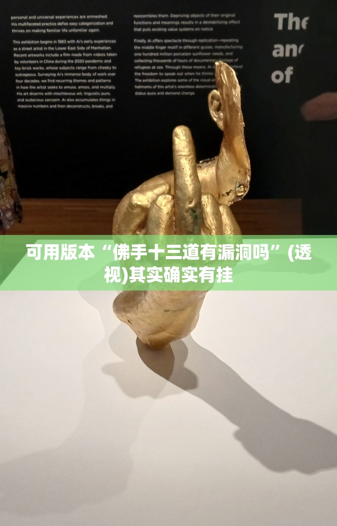 可用版本“佛手十三道有漏洞吗	”(透视)其实确实有挂