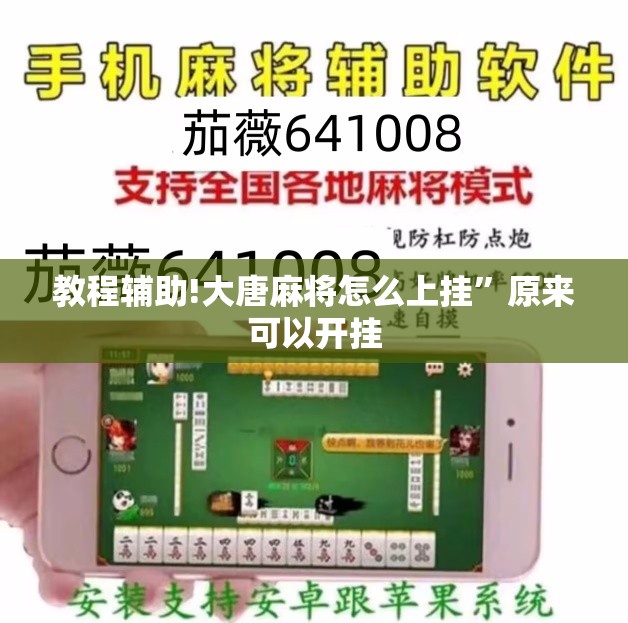 教程辅助!大唐麻将怎么上挂”原来可以开挂