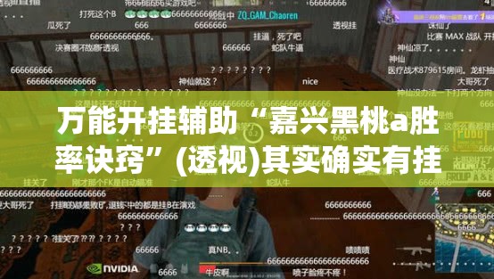 万能开挂辅助“嘉兴黑桃a胜率诀窍”(透视)其实确实有挂
