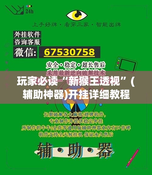 玩家必读“新猴王透视”(辅助神器)开挂详细教程