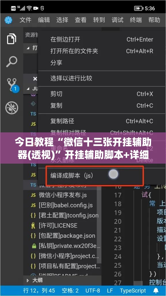 今日教程“微信十三张开挂辅助器(透视)	”开挂辅助脚本+详细开挂安装教程
