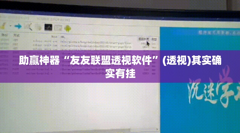 助赢神器“友友联盟透视软件	”(透视)其实确实有挂