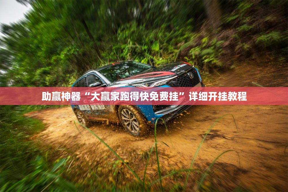 助赢神器“大赢家跑得快免费挂”详细开挂教程