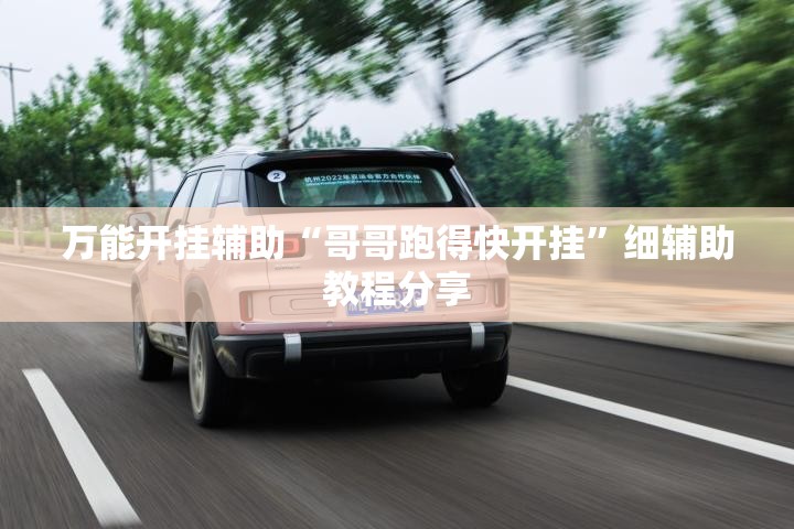 万能开挂辅助“哥哥跑得快开挂	”细辅助教程分享