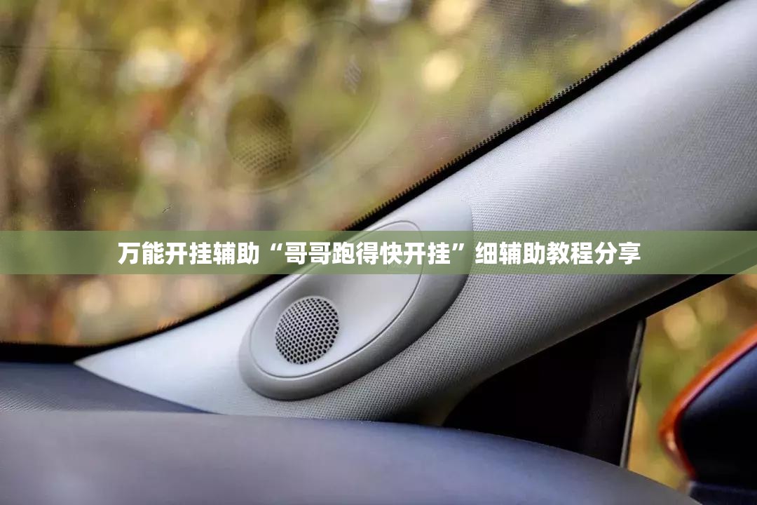 万能开挂辅助“哥哥跑得快开挂”细辅助教程分享