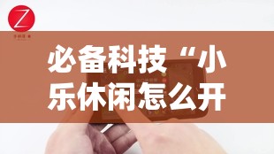 必备科技“小乐休闲怎么开挂”科技辅助神器手机版