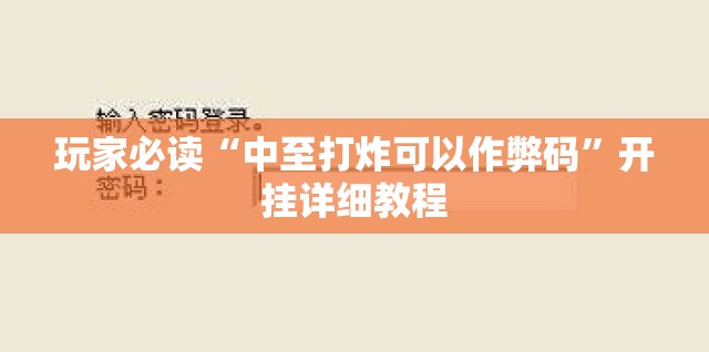 玩家必读“中至打炸可以作弊码”开挂详细教程