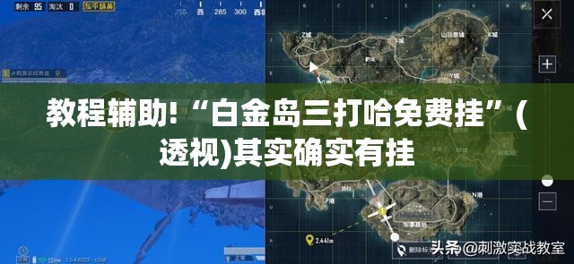 教程辅助!“白金岛三打哈免费挂	”(透视)其实确实有挂