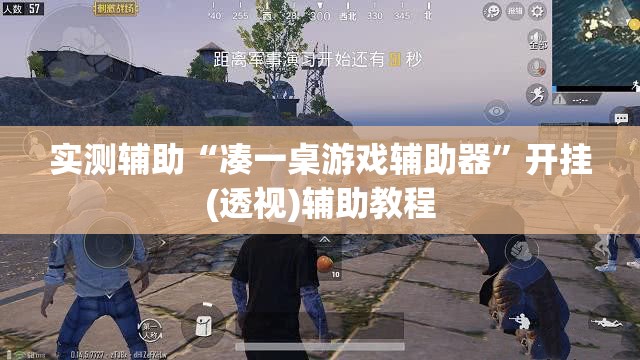 实测辅助“凑一桌游戏辅助器	”开挂(透视)辅助教程