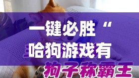 一键必胜“哈狗游戏有没有挂	”(透视)其实确实有挂