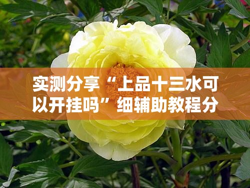 实测分享“上品十三水可以开挂吗”细辅助教程分享