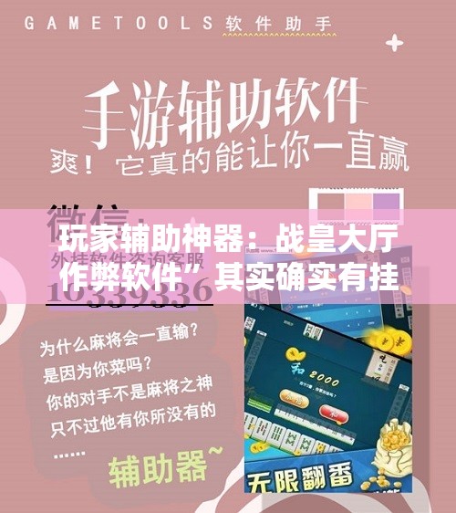 玩家辅助神器：战皇大厅作弊软件	”其实确实有挂