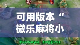 可用版本“微乐麻将小程序挂”开挂辅助脚本+详细开挂安装教程
