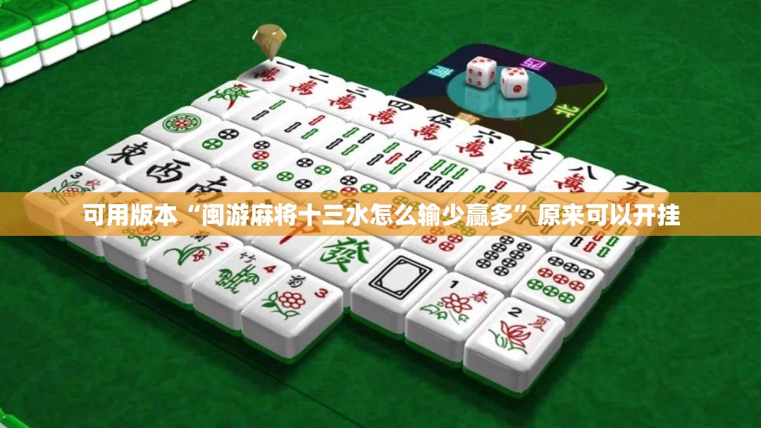 可用版本“闽游麻将十三水怎么输少赢多”原来可以开挂