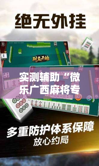 实测辅助“微乐广西麻将专用神器”细辅助教程分享