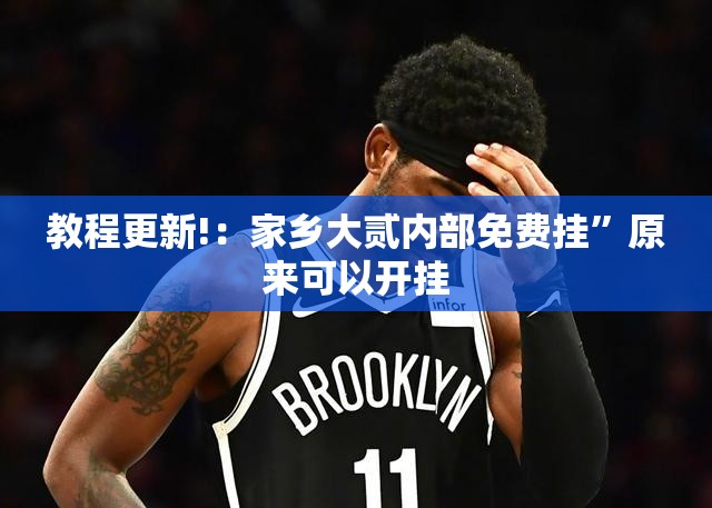 教程更新!：家乡大贰内部免费挂	”原来可以开挂