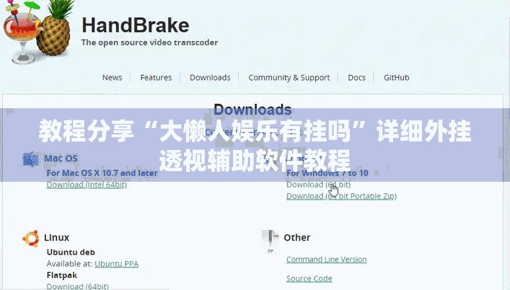 教程分享“大懒人娱乐有挂吗”详细外挂透视辅助软件教程