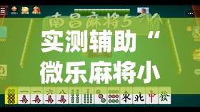 实测辅助“微乐麻将小程序挂”(透视挂)辅助下载教程