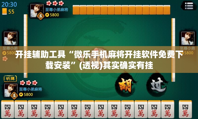 开挂辅助工具“微乐手机麻将开挂软件免费下载安装”(透视)其实确实有挂