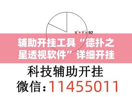 辅助开挂工具“德扑之星透视软件”详细开挂教程