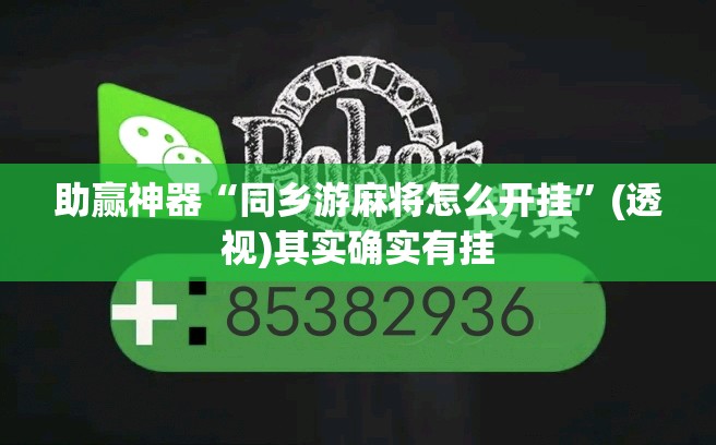 助赢神器“同乡游麻将怎么开挂”(透视)其实确实有挂