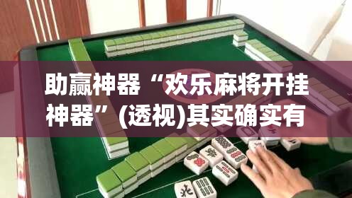 助赢神器“欢乐麻将开挂神器”(透视)其实确实有挂
