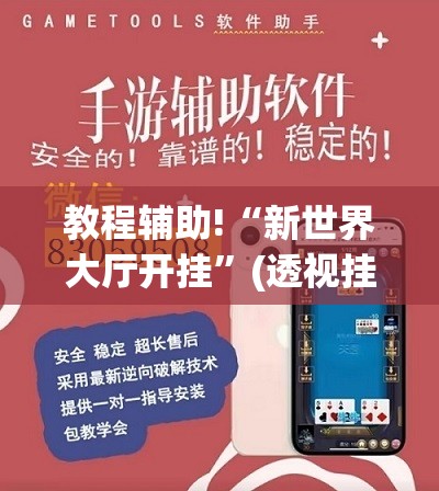 教程辅助!“新世界大厅开挂”(透视挂)辅助下载教程