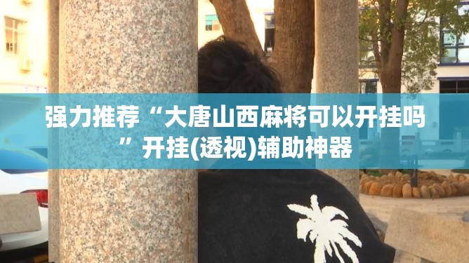 强力推荐“大唐山西麻将可以开挂吗”开挂(透视)辅助神器