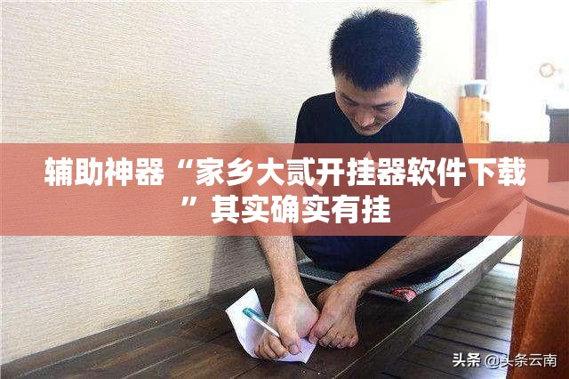 辅助神器“家乡大贰开挂器软件下载	”其实确实有挂