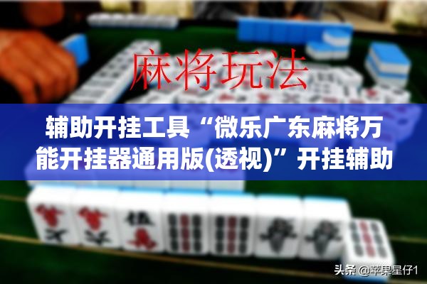 辅助开挂工具“微乐广东麻将万能开挂器通用版(透视)	”开挂辅助脚本+详细开挂安装教程