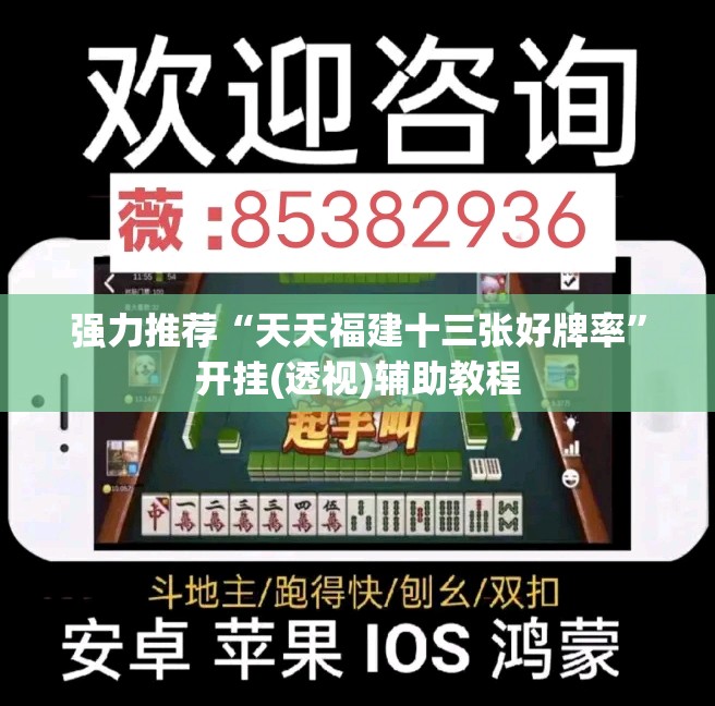 强力推荐“天天福建十三张好牌率	”开挂(透视)辅助教程
